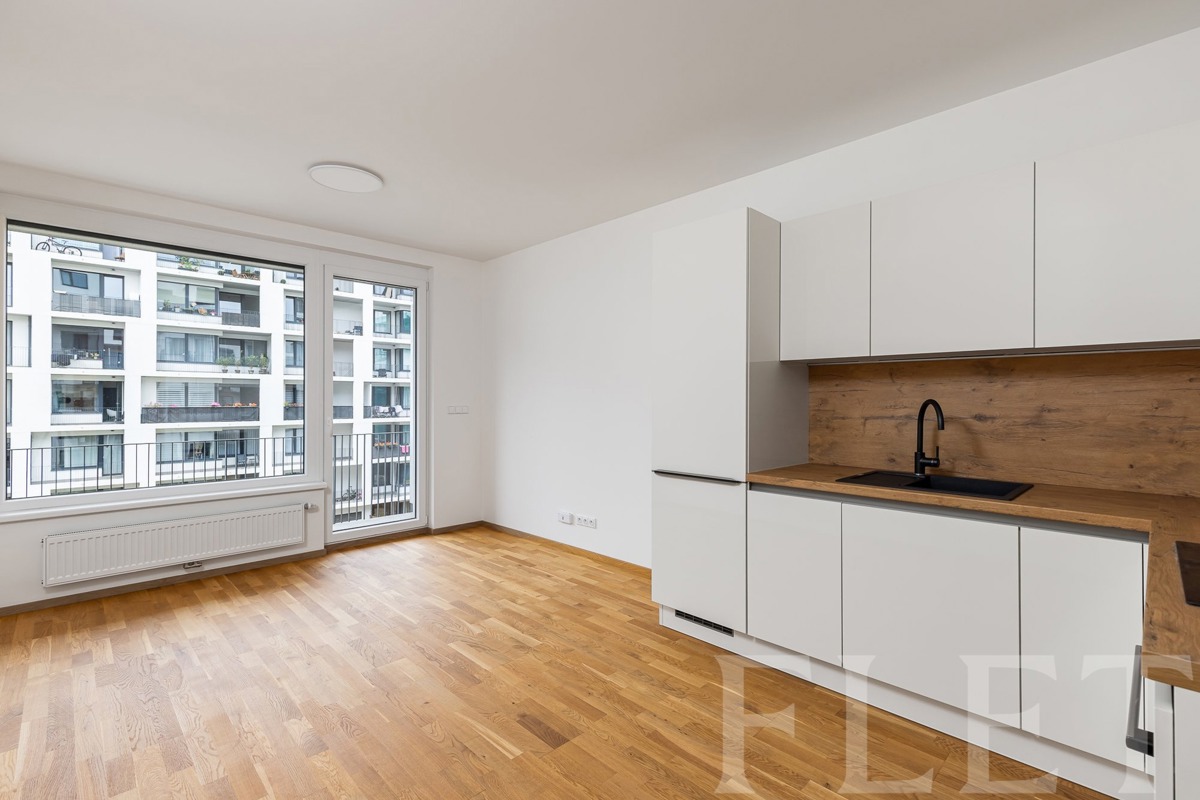 Fotografie 4 - Pronájem bytu · 1+kk · 31 m²