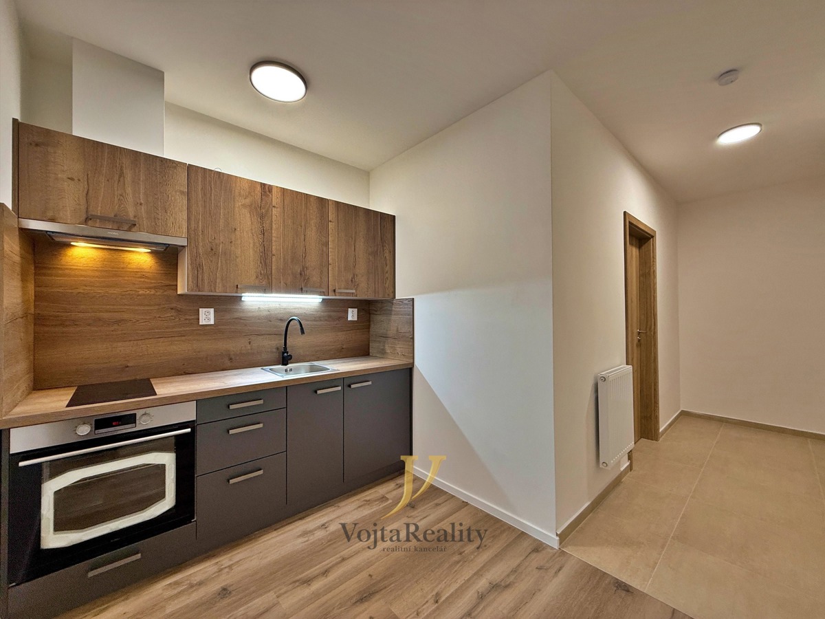Hình ảnh 2 - Căn hộ cho thuê · 1+1 · 41 m²