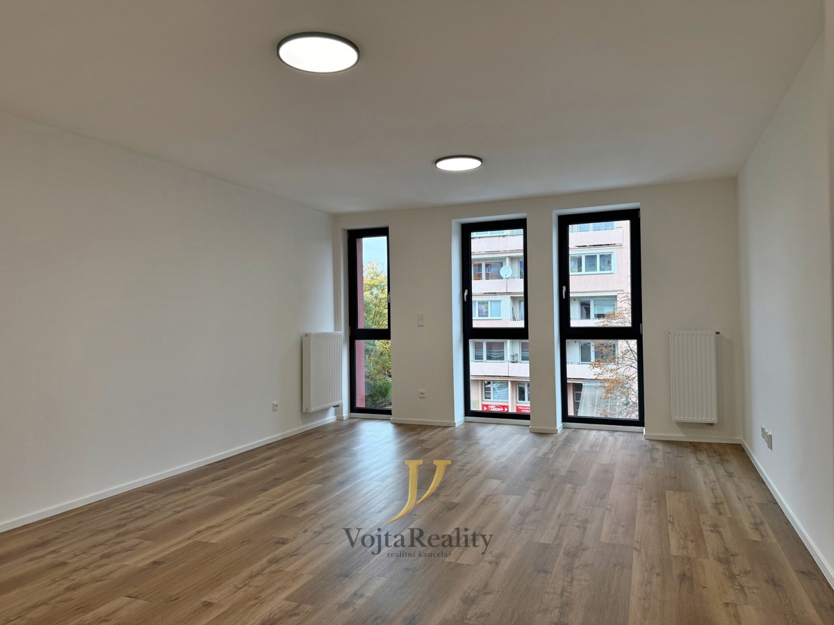 Hình ảnh 3 - Căn hộ cho thuê · 1+1 · 41 m²