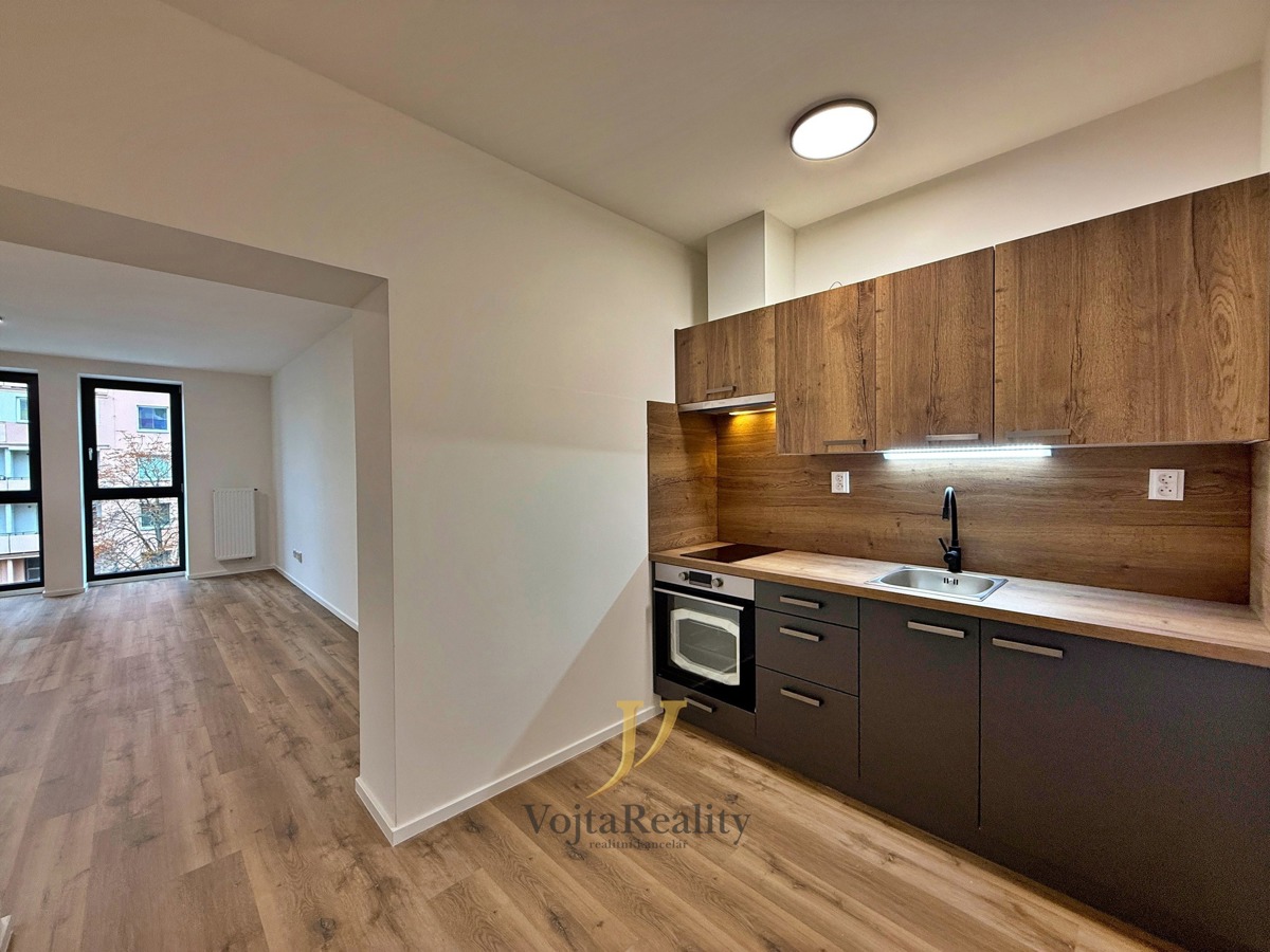 Hình ảnh 4 - Căn hộ cho thuê · 1+1 · 41 m²