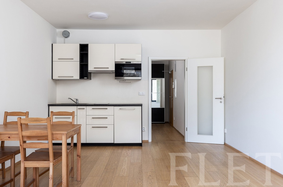Fotografie 2 - Pronájem bytu · 1+kk · 43 m²
