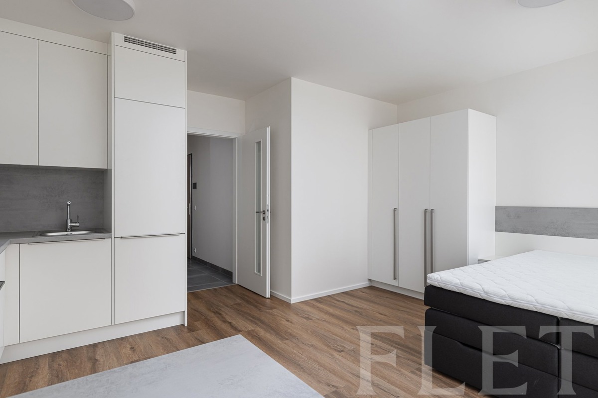 Photo 4 - Apartment for rent · 1+kk · 35 m²