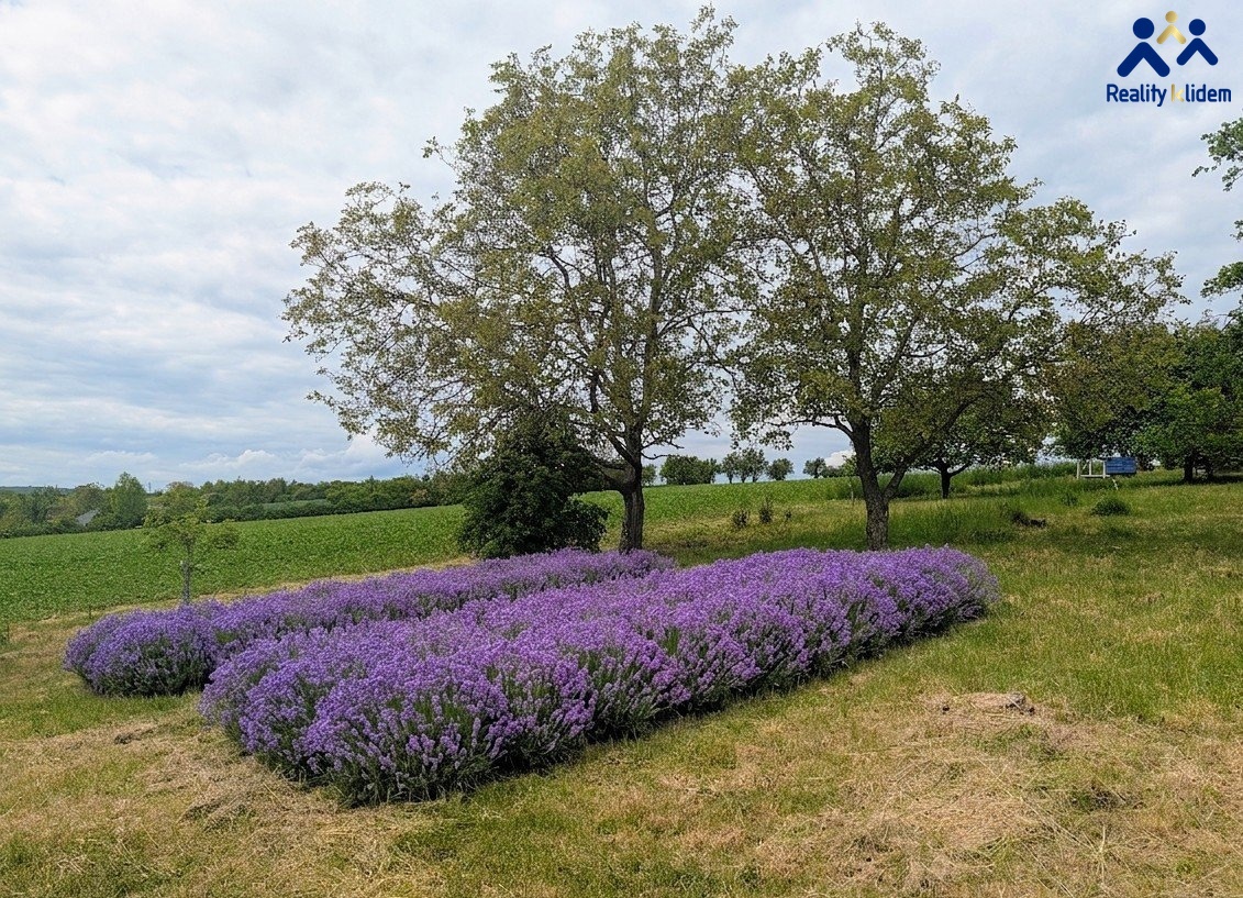 Fotografie 4 - Prodej pozemku · Vinice · 40 m²