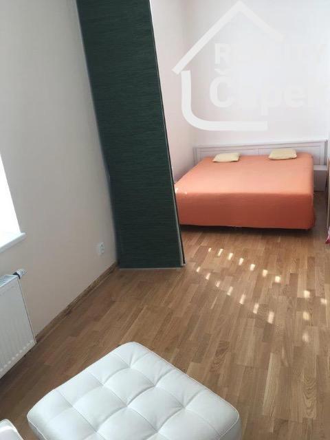 Fotografie 4 - Pronájem bytu · 1+1 · 39 m²