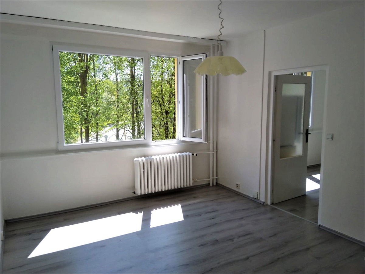 Fotografie 1 - Pronájem bytu · 2+kk · 47 m²