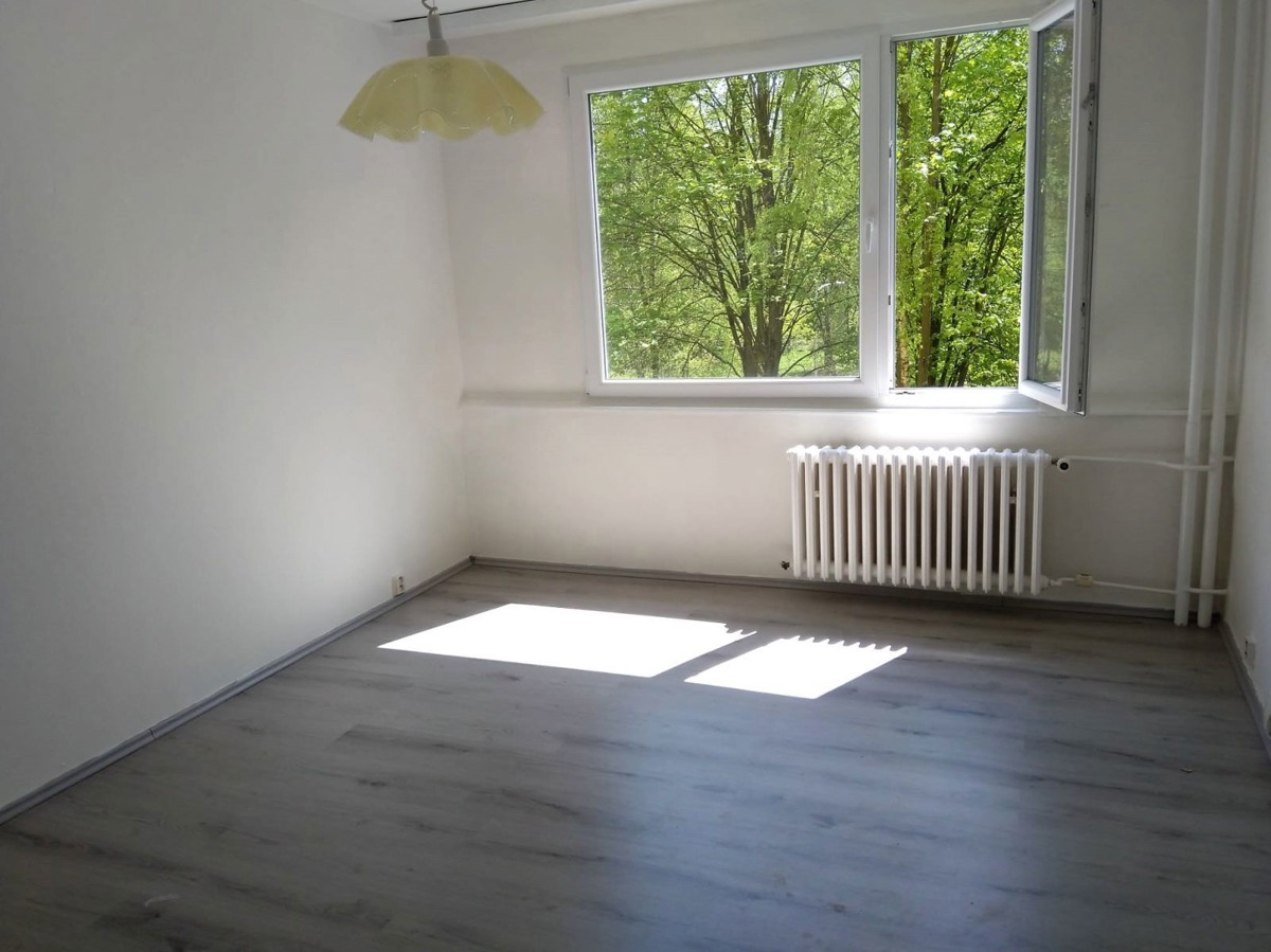 Fotografie 3 - Pronájem bytu · 2+kk · 47 m²