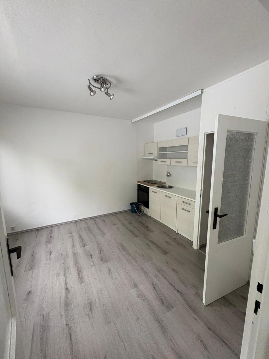Fotografie 4 - Pronájem bytu · 2+kk · 47 m²