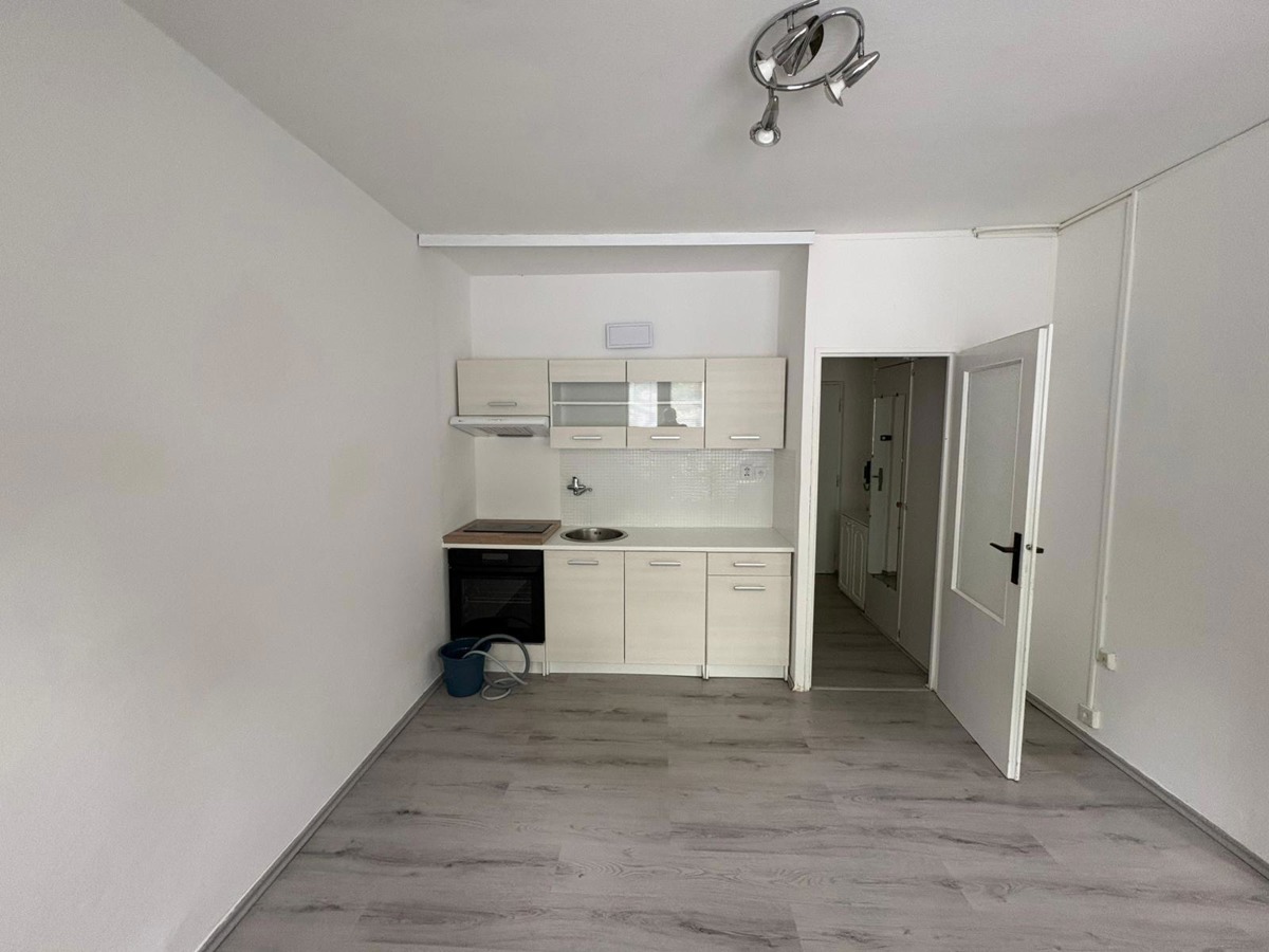 Fotografie 2 - Pronájem bytu · 2+kk · 47 m²