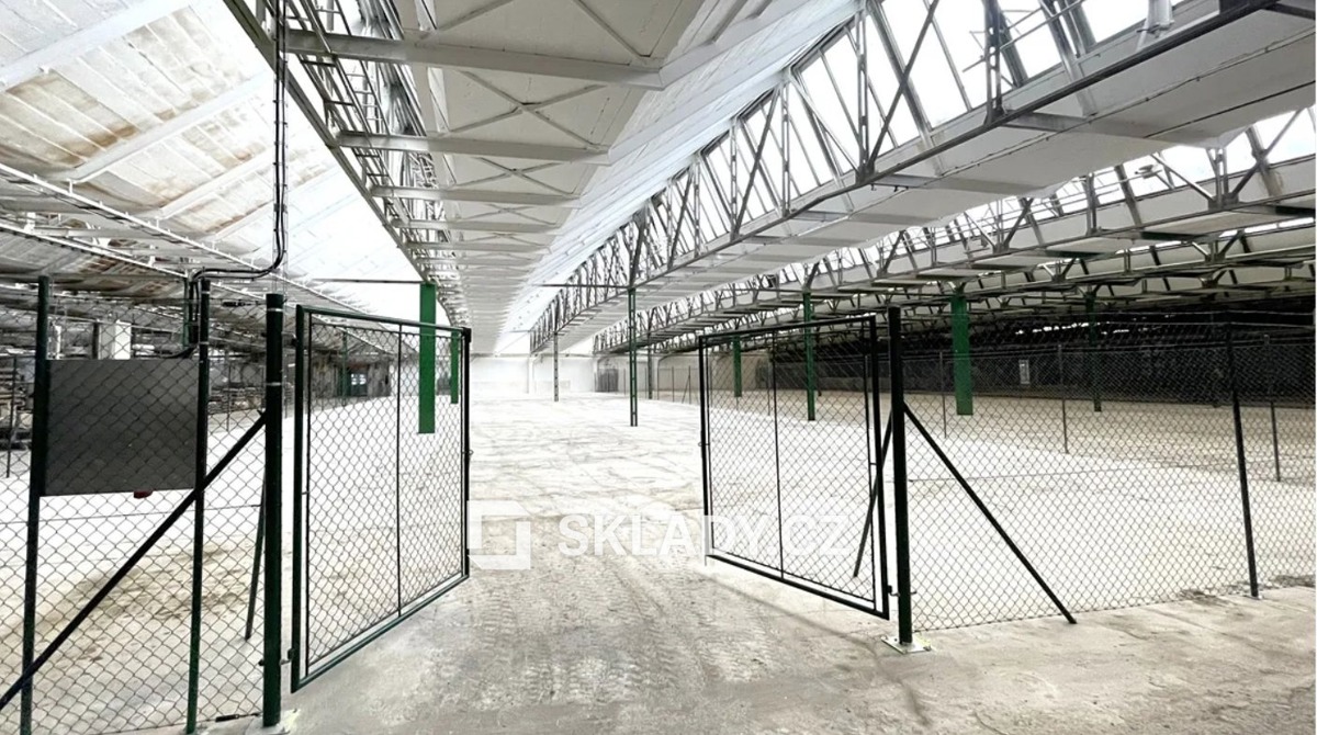 Photo 4 - Commercial property for rent · 2 700 m²