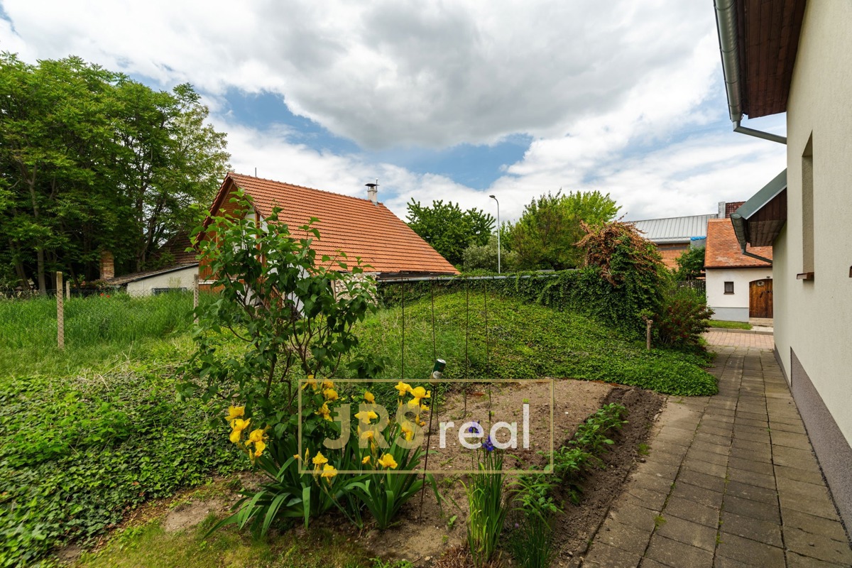 Фото 3 - Продаж винного погребу · 289 m²