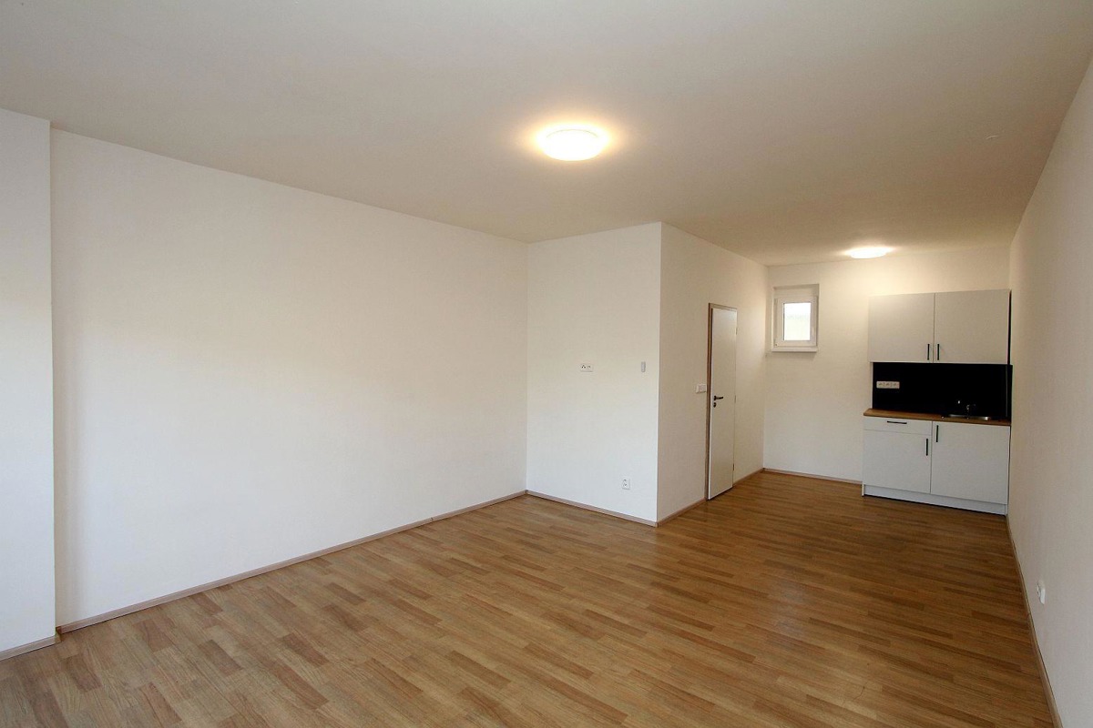 Photo 1 - Apartment for rent · 1+kk