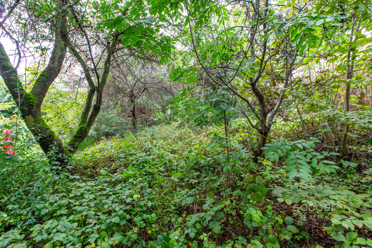 Photo 1 - Land for sale · Garden
