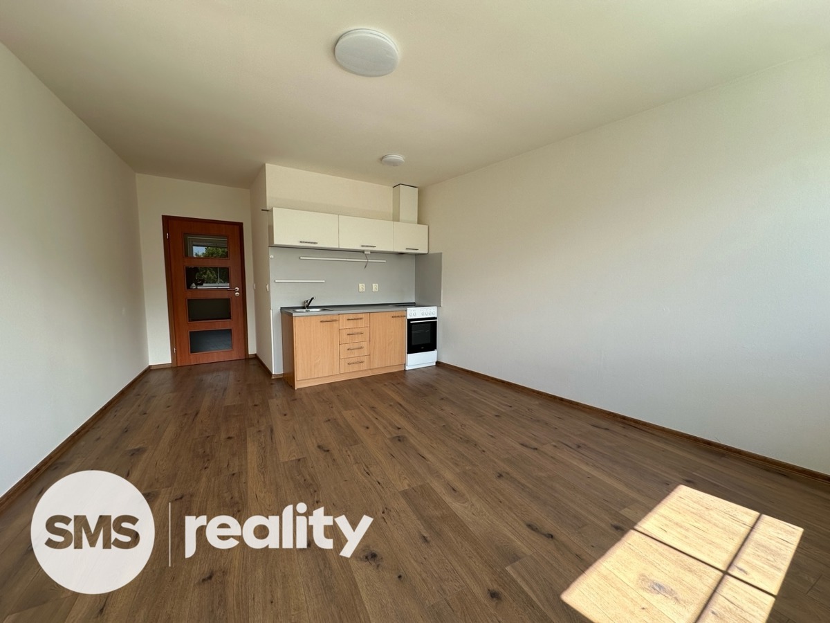Photo 4 - Apartment for rent · 1+kk · 33 m²