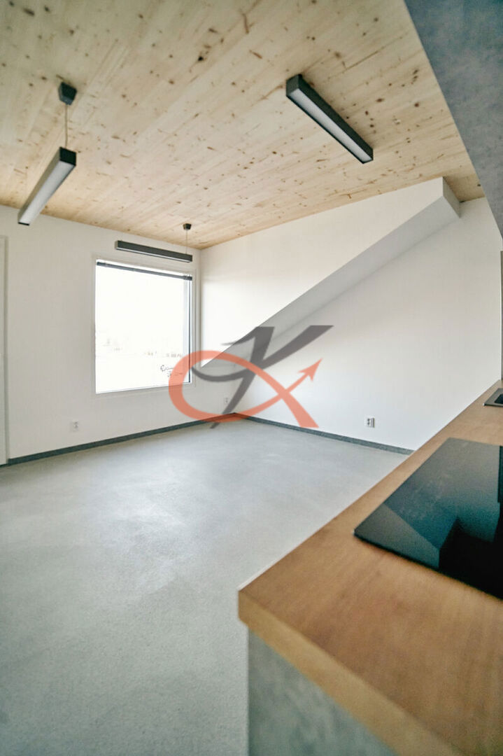 Photo 3 - Apartment for rent · 2+kk · 48 m²