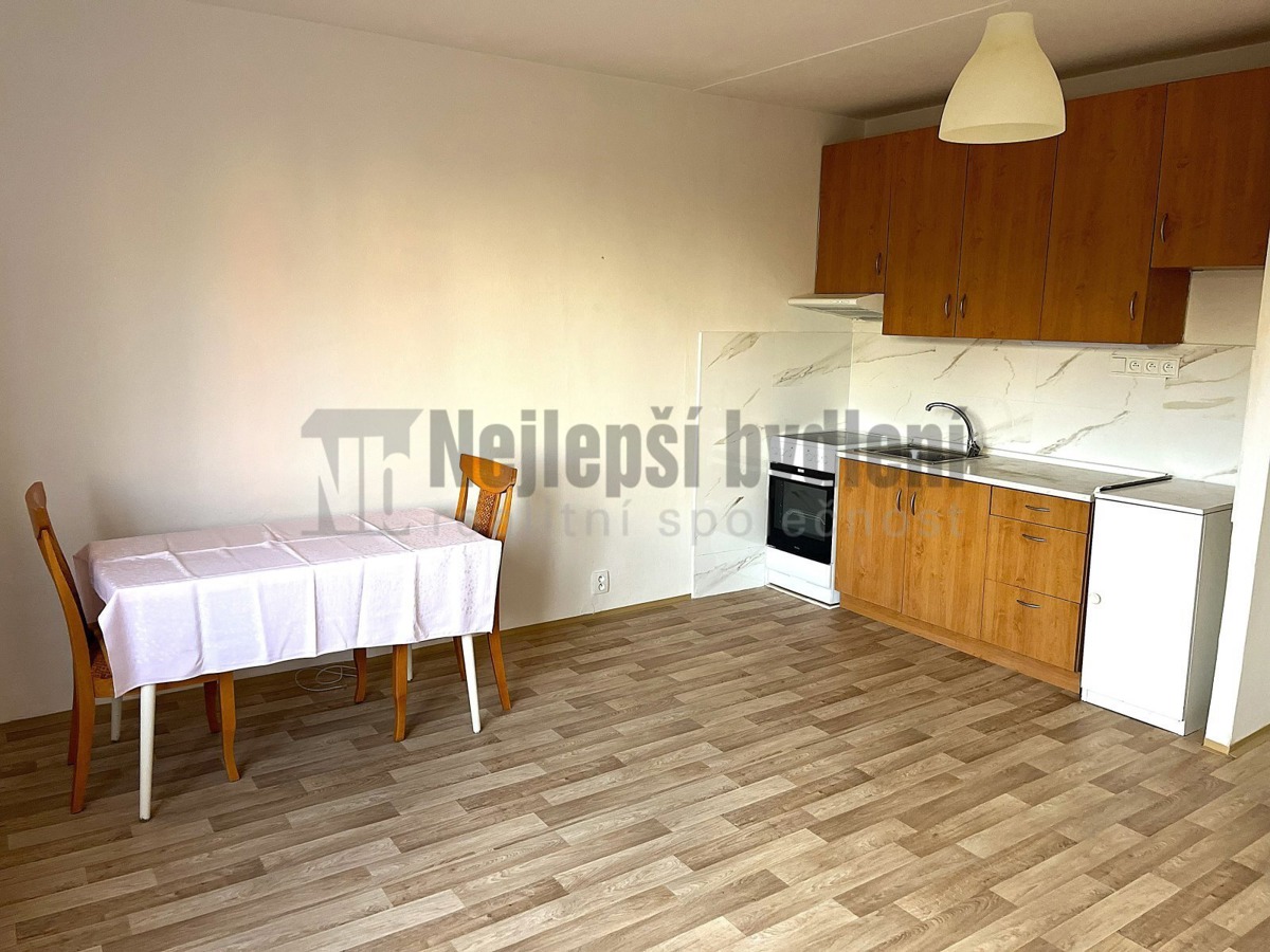 Hình ảnh 1 - Căn hộ cho thuê · 1+kk · 33 m²