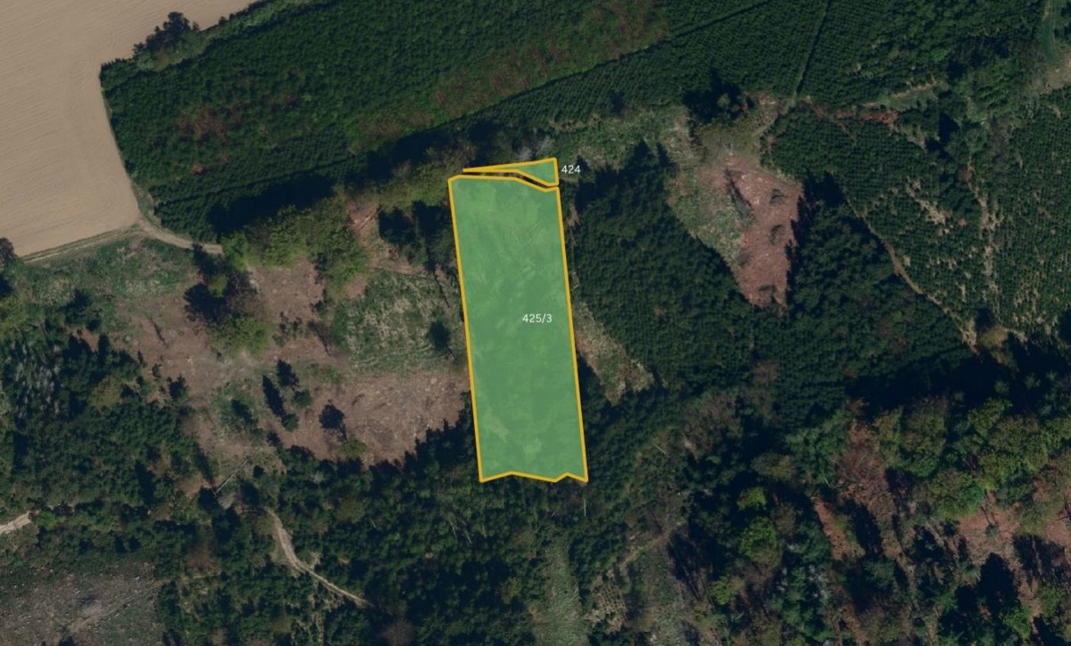 Photo 3 - Land for sale · Field