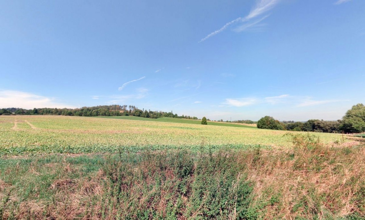 Photo 2 - Land for sale · Field