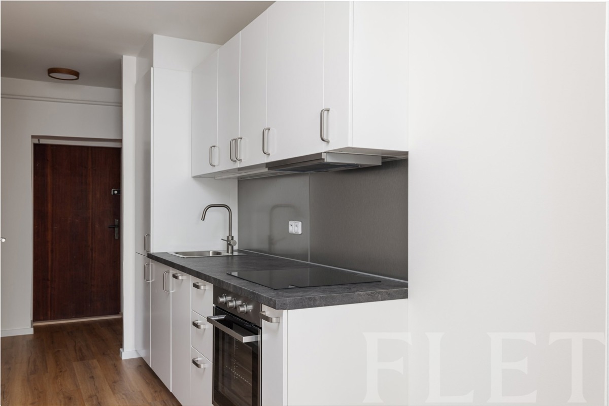 Hình ảnh 2 - Căn hộ cho thuê · 1+1 · 43 m²