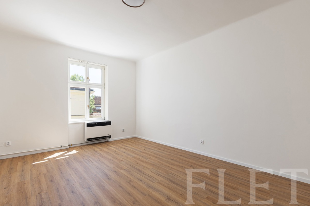 Hình ảnh 1 - Căn hộ cho thuê · 1+1 · 43 m²
