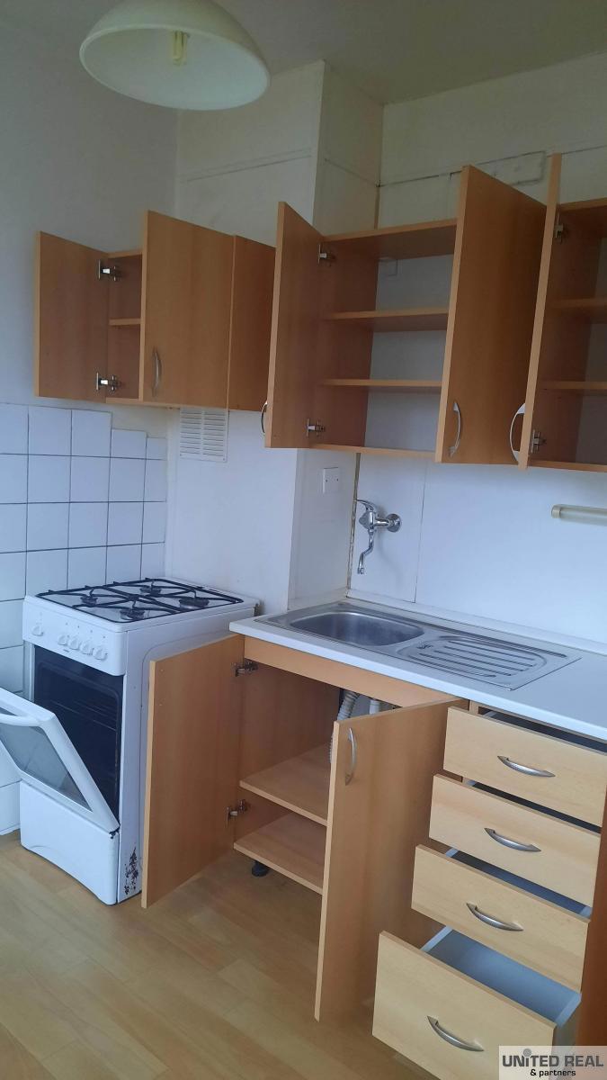 Fotografie 2 - Pronájem bytu · 1+1 · 44 m²