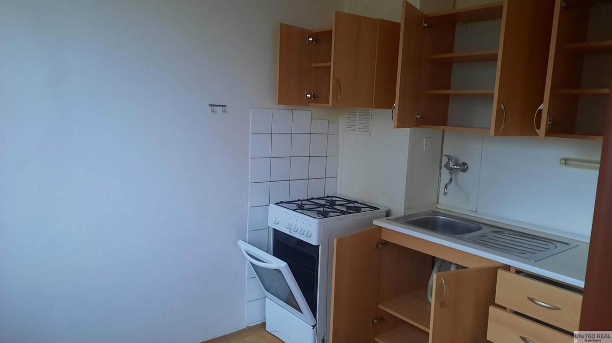 Fotografie 3 - Pronájem bytu · 1+1 · 44 m²