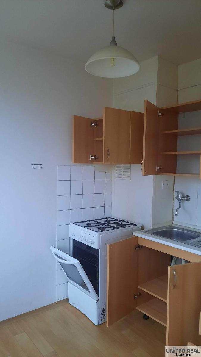 Fotografie 4 - Pronájem bytu · 1+1 · 44 m²