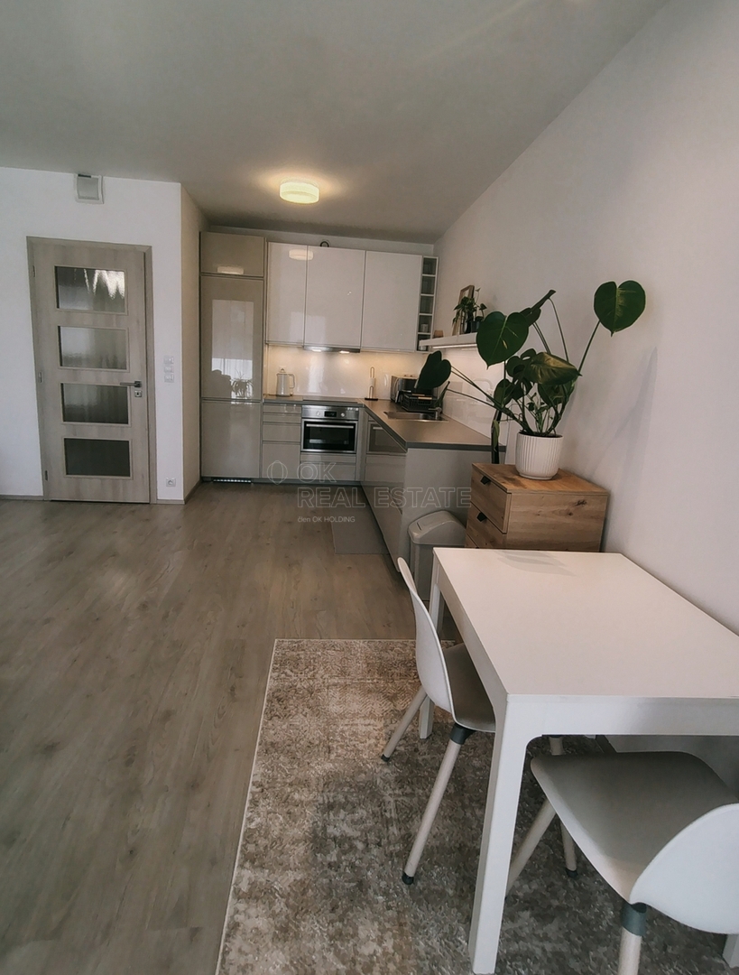 Photo 2 - Apartment for rent · 1+kk · 57 m²