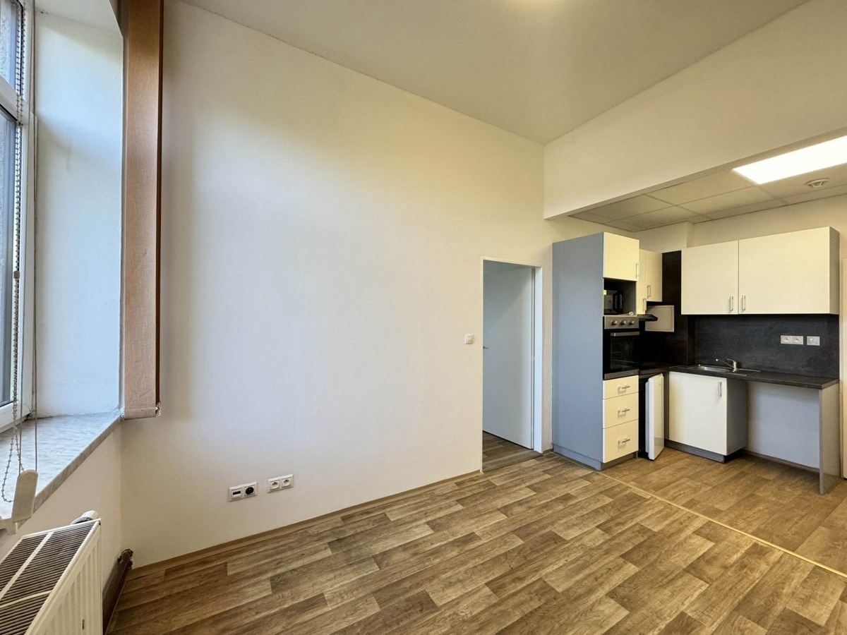 Fotografie 4 - Pronájem bytu · 2+kk · 32 m²