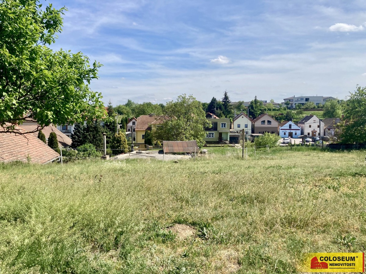 Фото 1 - Продаж винного погребу · 145 m²