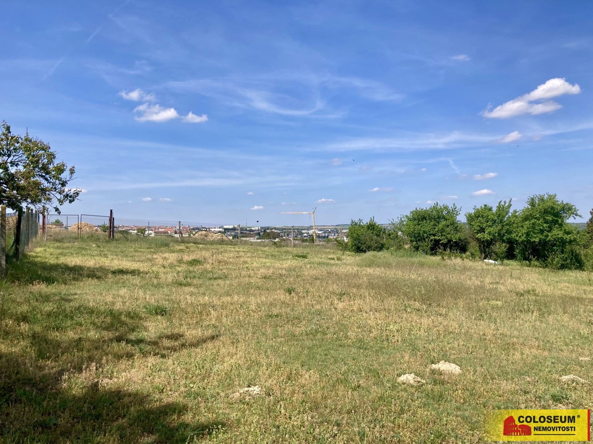 Фото 4 - Продаж винного погребу · 145 m²