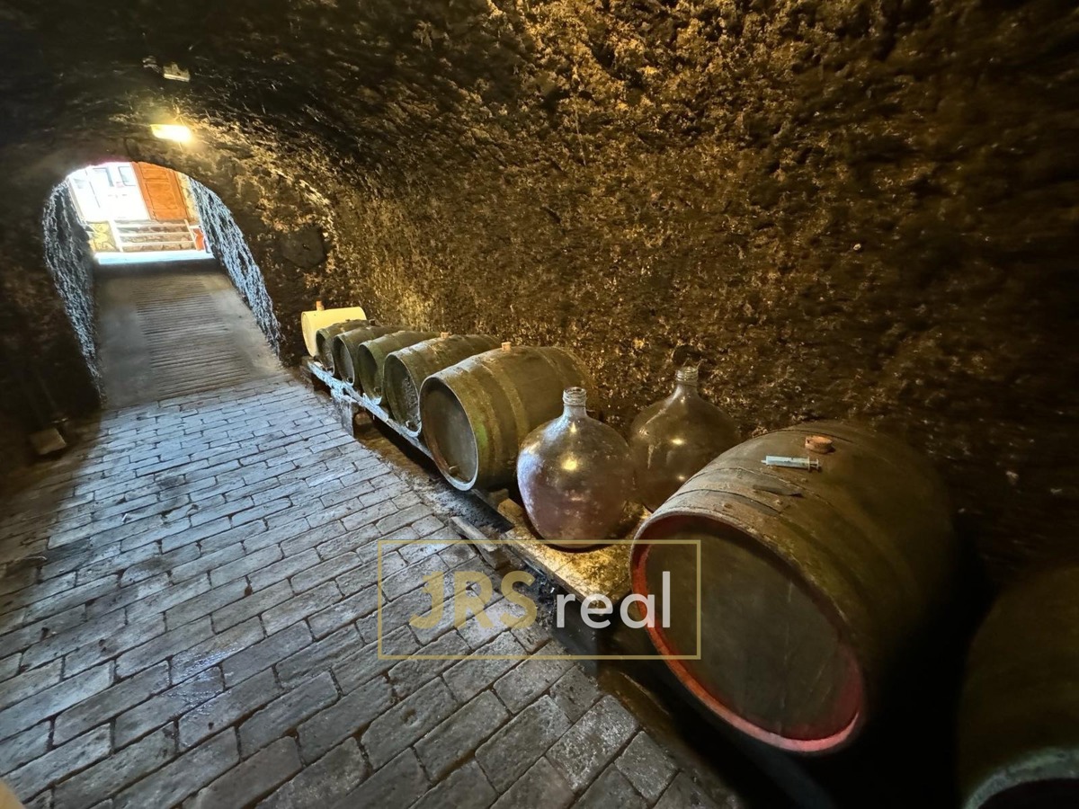 Fotografie 2 - Prodej vinného sklepa · 47 m²