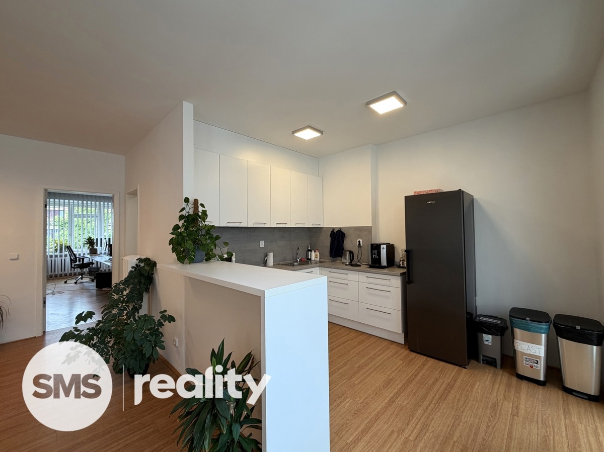 Photo 1 - Apartment for rent · 3+kk · 105 m²