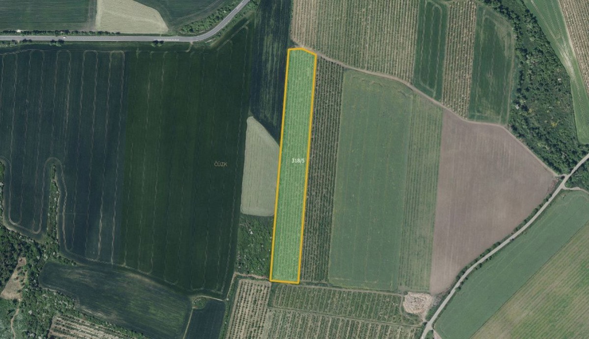 Fotografie 3 - Prodej pozemku · Vinice · 28 919 m²