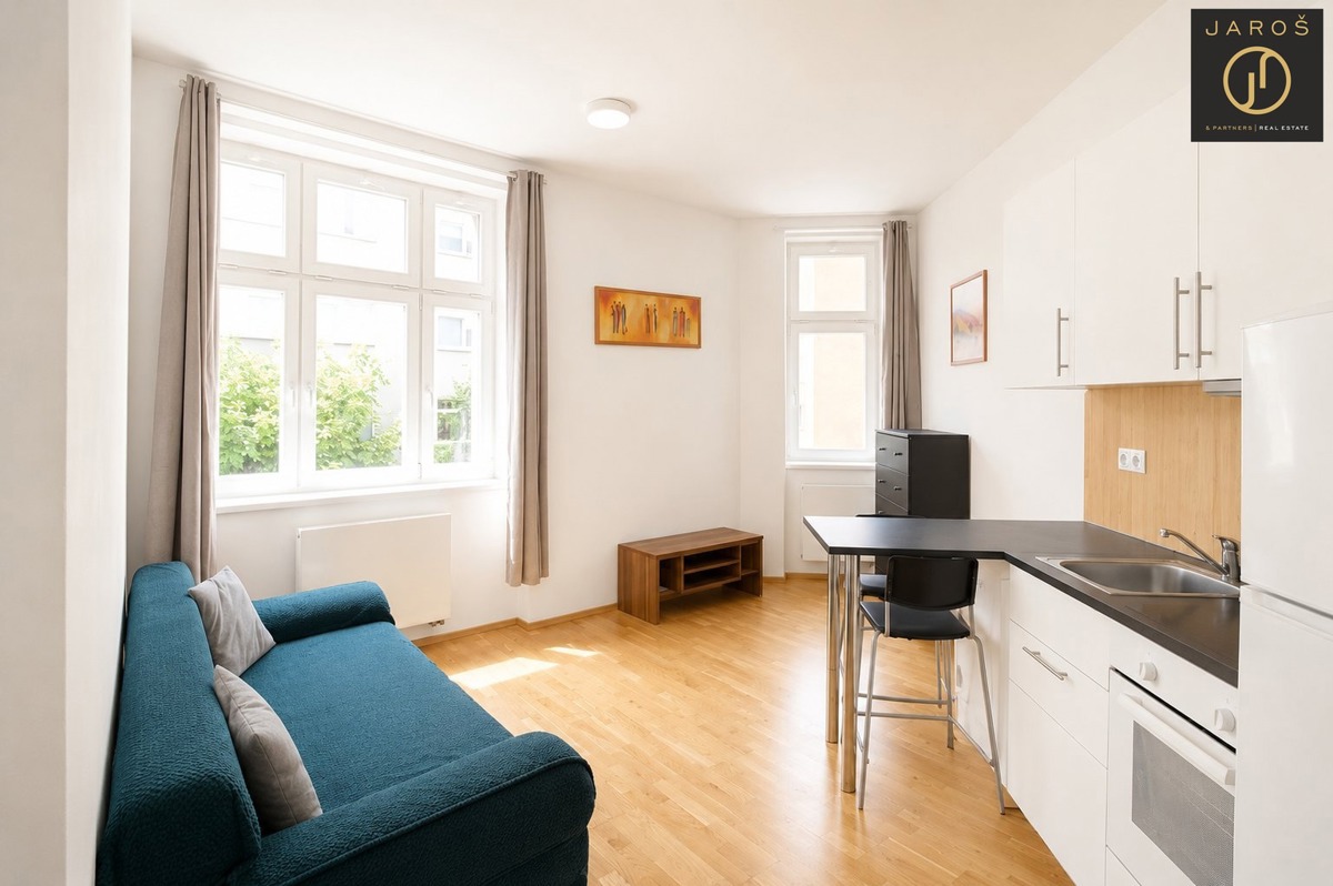 Fotografie 2 - Pronájem bytu · 1+kk · 25 m²