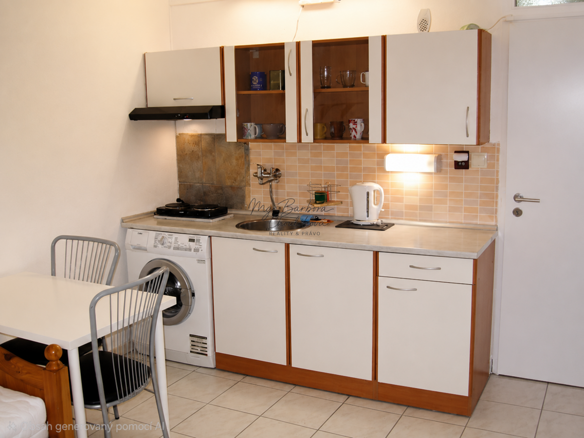 Fotografie 1 - Pronájem bytu · 1+kk · 22 m²