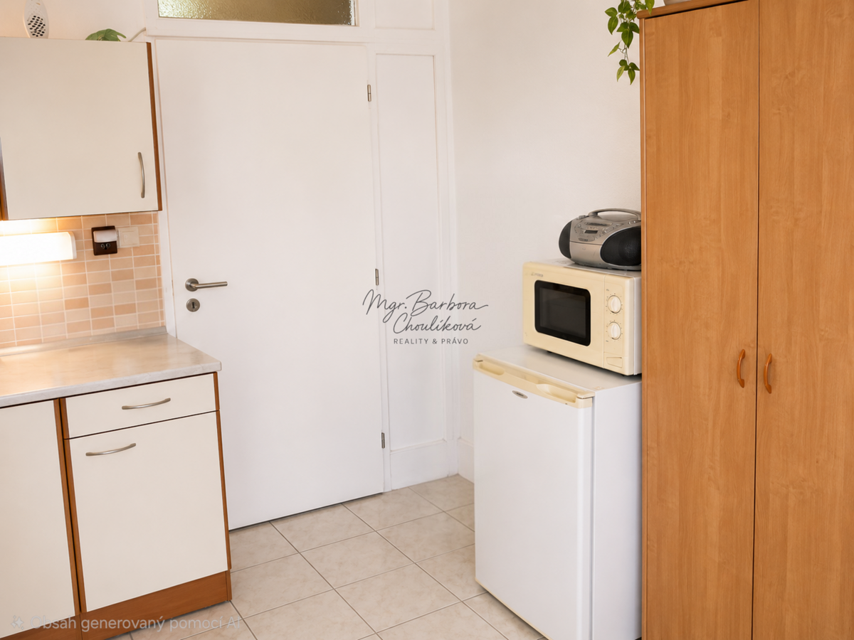 Fotografie 3 - Pronájem bytu · 1+kk · 22 m²