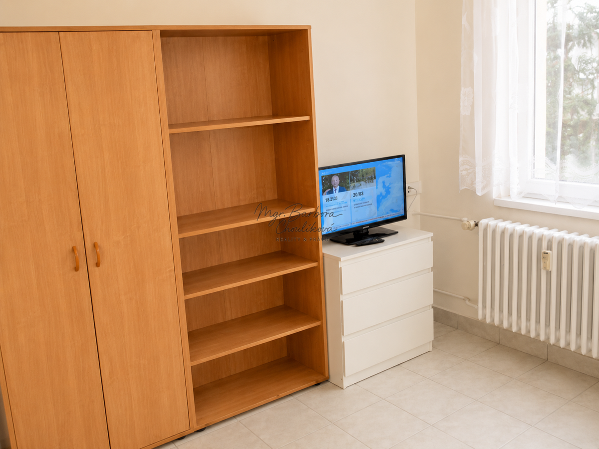 Fotografie 4 - Pronájem bytu · 1+kk · 22 m²