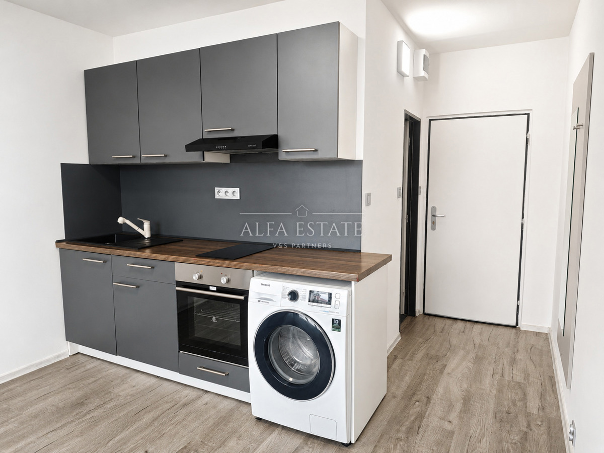 Fotografie 1 - Pronájem bytu · 1+kk · 20 m²
