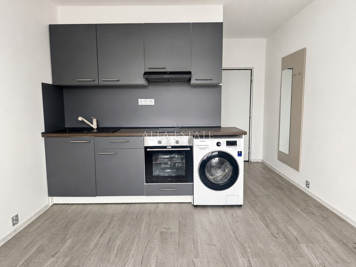 Fotografie 4 - Pronájem bytu · 1+kk · 20 m²