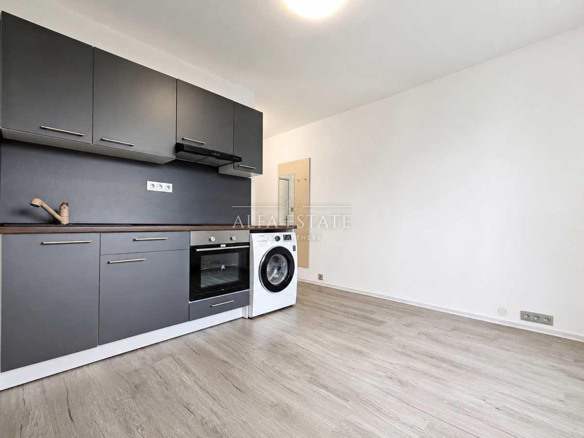 Fotografie 3 - Pronájem bytu · 1+kk · 20 m²