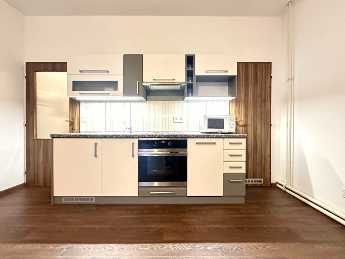 Photo 1 - Apartment for rent · 1+kk · 44 m²