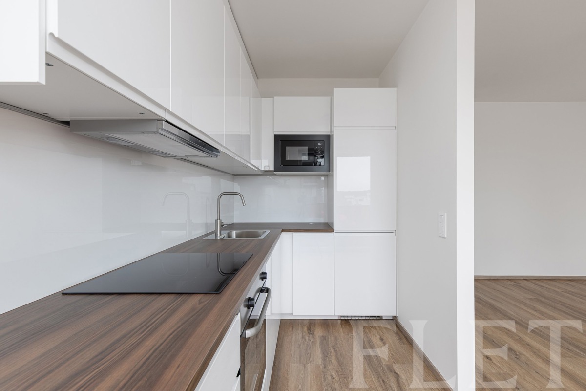 Fotografie 3 - Pronájem bytu · 1+kk · 36 m²