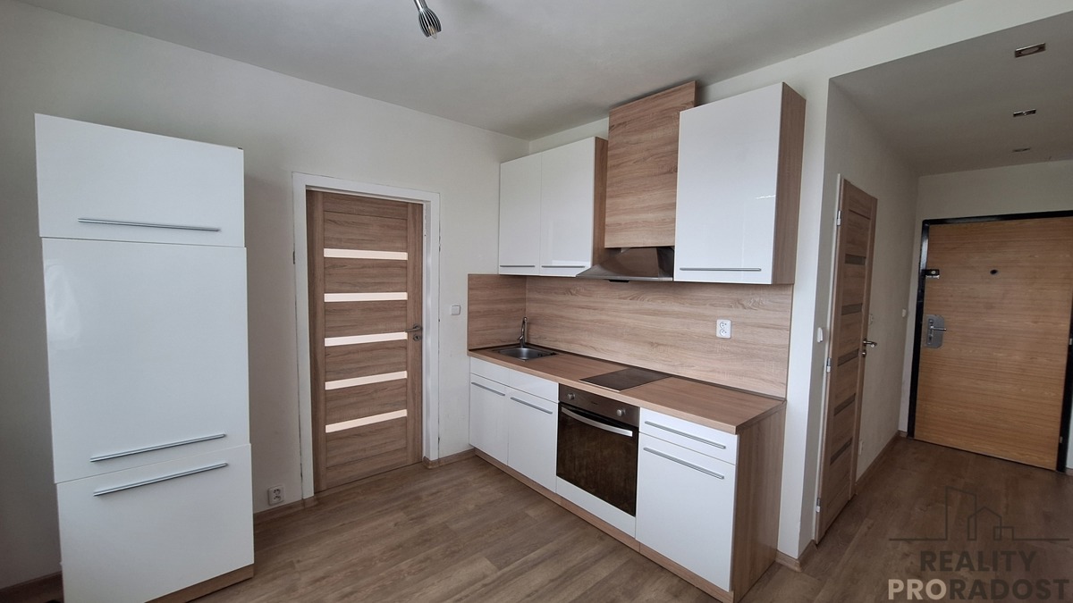 Fotografie 2 - Pronájem bytu · 1+1 · 32 m²