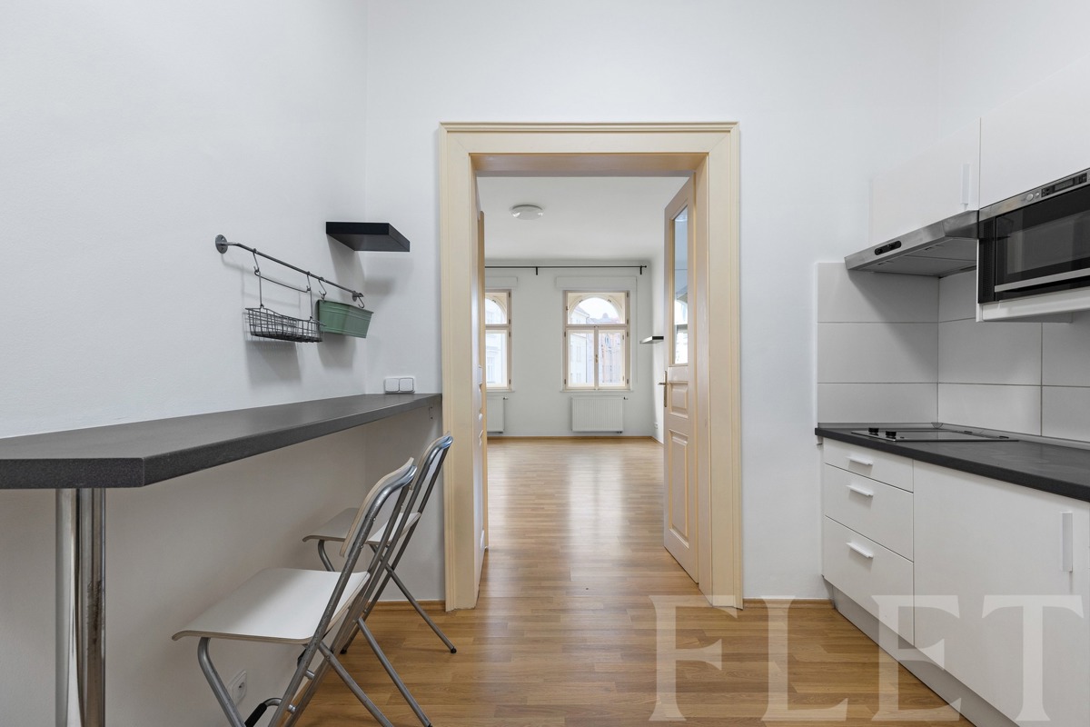 Fotografie 4 - Pronájem bytu · 1+1 · 45 m²