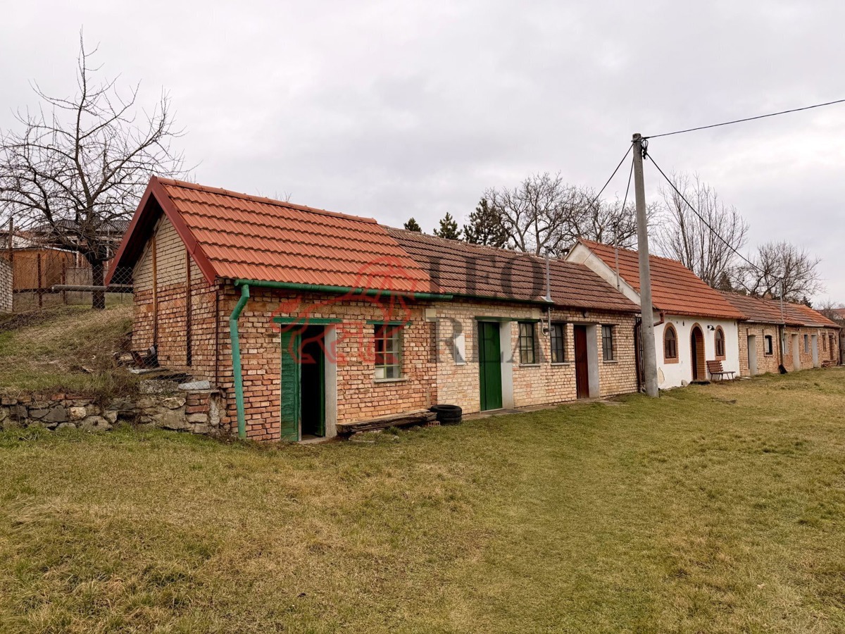 Фото 2 - Продаж винного погребу · 55 m²