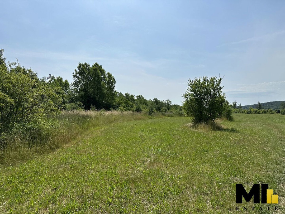 Photo 1 - Land for sale · Meadow · 4 109 m²
