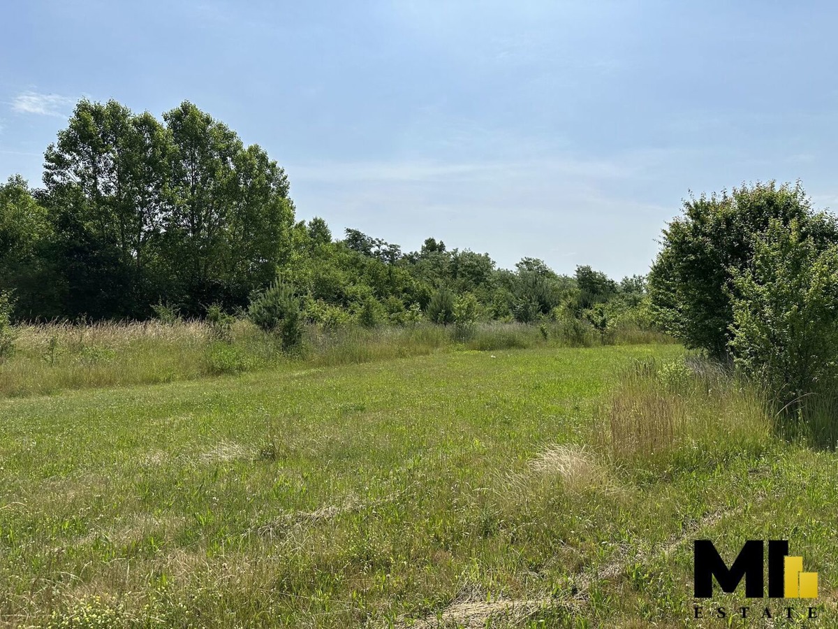 Photo 3 - Land for sale · Meadow · 4 109 m²