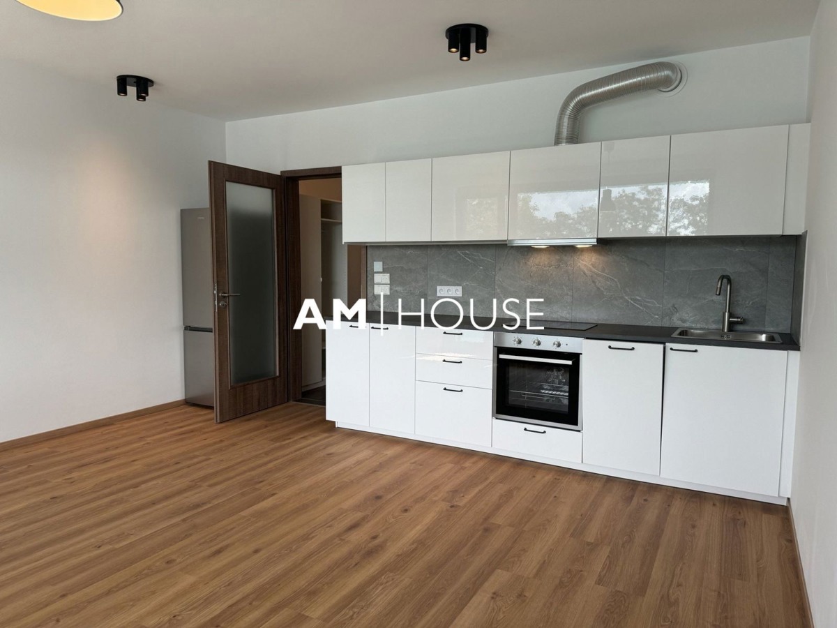 Photo 2 - Apartment for rent · 1+kk · 47 m²