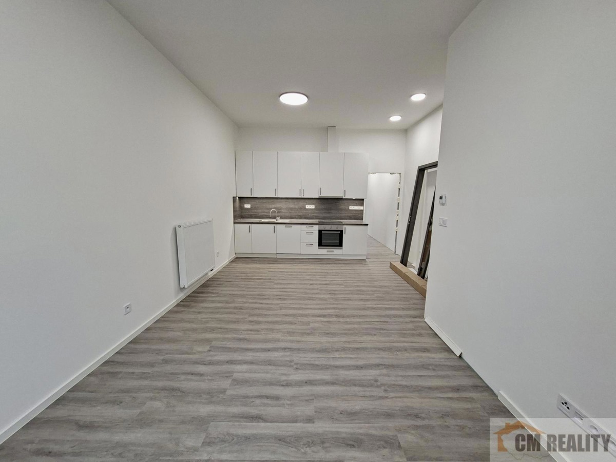 Fotografie 4 - Pronájem bytu · 2+kk · 63 m²