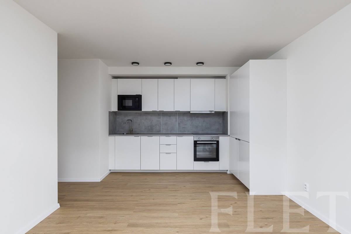Fotografie 2 - Pronájem bytu · 2+kk · 50 m²